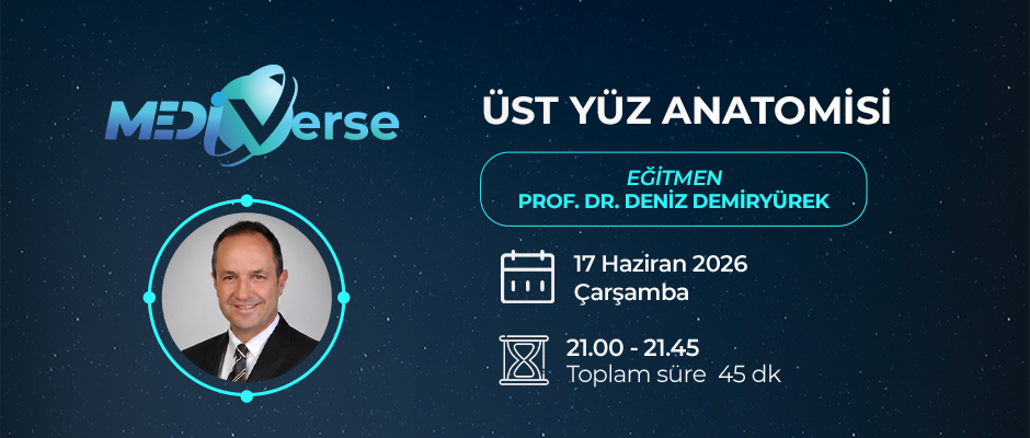 Üst Yüz Anatomisi