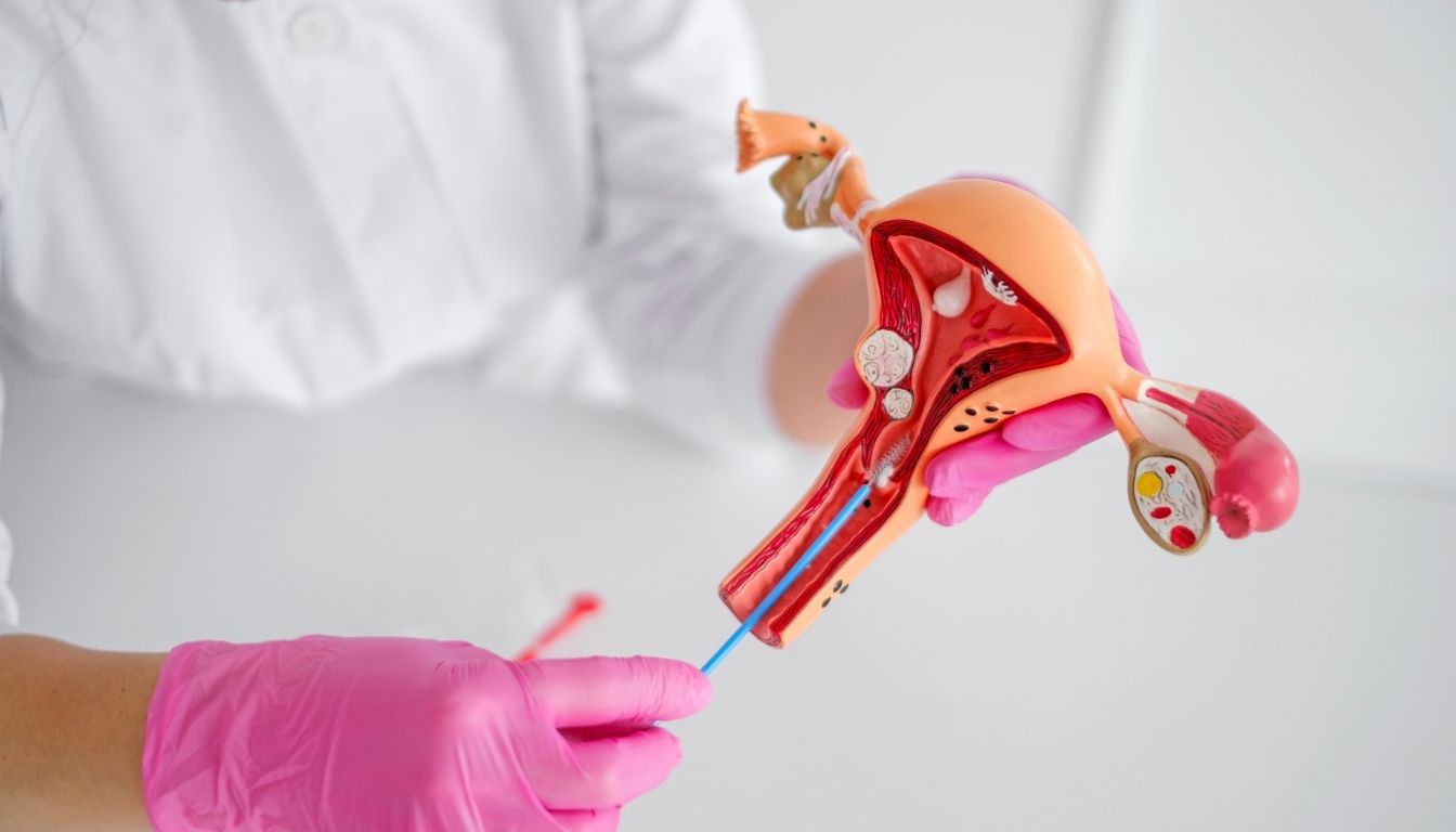 Genital Aesthetic Applications – Functional Aesthetics – Vaginal Dryness Treatments