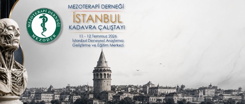 Mezoder İstanbul Kadavra Çalıştayı